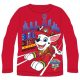 Paw Patrol children's long t-shirt, top 4 years