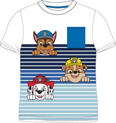 Paw Patrol children's short t-shirt, top 7 years