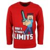 Minecraft children's long sleeve t-shirt, 10 years