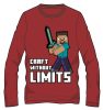 Minecraft children's long sleeve t-shirt, top 8 years