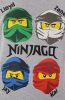 Lego Ninjago kids long sleeve shirt, top 4 years