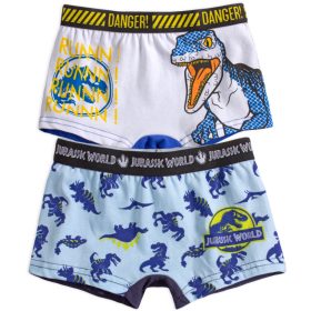 Paw Patrol Child Underwear 3 pieces/package 6/8 év - Javoli Disney Onl