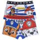 Paw Patrol children's boxer shorts 2 pieces/package 6/8 years