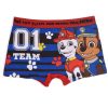 Paw Patrol children's boxer shorts 2 pieces/package 4/5 years