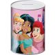 Disney Princess metal piggy bank