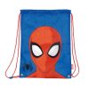 Spiderman Web Weaver sports bag, gym bag 44 cm