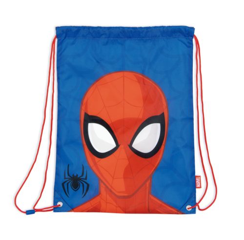 Spiderman Web Weaver sports bag, gym bag 44 cm