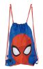 Spiderman Web Weaver sports bag, gym bag 44 cm