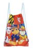 Paw Patrol Boys sports bag, gym bag 44 cm