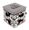 Disney Minnie, Mickey Toy Storage 30×30×30 cm