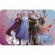 Disney Frozen placemat 43*28 cm