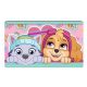 Paw Patrol Girls Kids Pouch, Pencil Case