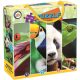 Animals Exotic puzzle 4x100 pieces