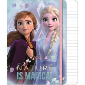 Disney Frozen Frosty Aluminium Bottle (500 ml) - Javoli Disney Online