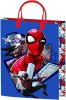 Disney Disney Princesses, Paw Patrol, Spiderman plastic gift bag 32x27x10 cm