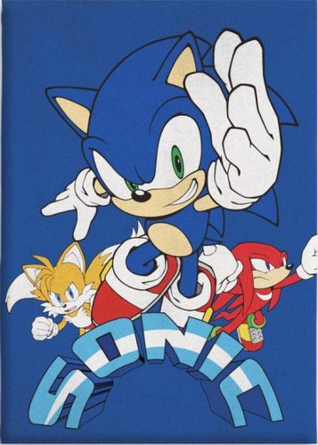 Sonic the Hedgehog Coin Chase Sonic the Hedgehog Fleece Blanket 100x140cm