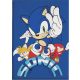 Sonic the Hedgehog Coin Chase Sonic the Hedgehog Fleece Blanket 100x140cm