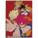 Dragon Ball Hues of Power coral fleece blanket 110x150cm