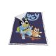 Bluey Skateboard  sherpa blanket 120x150cm