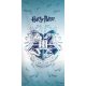 Harry Potter Light bath towel, beach towel 70x140cm (Fast Dry)