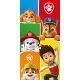 Paw Patrol Colors bath towel, beach towel 70x140cm