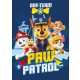 Paw Patrol polar blanket 100*140cm