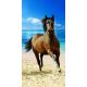 Horses bath towel, beach towel 70x140cm