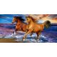 Horses Seaside bath towel, beach towel 70x140cm