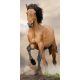 Horses Brown bath towel, beach towel 70x140cm