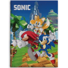 Sonic the Hedgehog Sport-bottle - Javoli Disney Online Store - Javoli