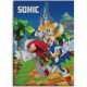 Sonic the Hedgehog Speedy Dreams Sonic the Hedgehog fleece blanket 100x140cm