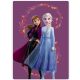 Disney Frozen Wind fleece blanket 100x140cm