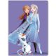 Disney Frozen Purple fleece blanket 100x140cm