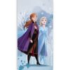 Disney Frozen Snow sleeping bag