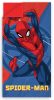 Spiderman Protect sleeping bag