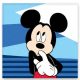 Disney Mickey  Shy hand towel, face towel, towel 30x30cm