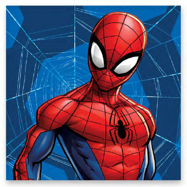 Spiderman Web Kid Facetowel, handtowel 30x30 cm