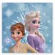 Disney Frozen Snowflake hand towel, face towel, towel 30x30cm