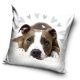 Dog pillowcase 40*40 cm