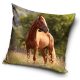 Horses pillowcase 40*40 cm