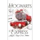 Harry Potter Express hand towel, face towel, towel 30x50 cm