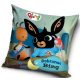 Bing Night velvet cushion cover 40x40 cm