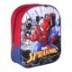 Spiderman 3D backpack, bag 31 cm