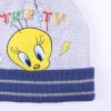 Looney Tunes Tweety kids hat+ gloves set