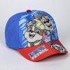 Paw Patrol Buddies sunglasses and baseball cap set