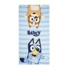 Bluey towel, gym bag, baseball cap set