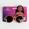 Disney Vaiana Pua and Heihei sunglasses