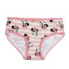 Disney Minnie Figaro children's underwear, panties 3 pieces/package 2-8 years