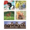 Animals Friends 10 in 1 puzzle Clementoni