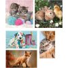 Animals Friends 10 in 1 puzzle Clementoni